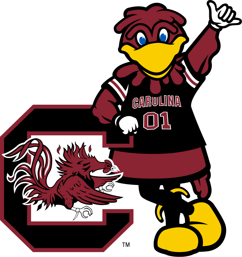 South Carolina Gamecocks 2014-2018 Mascot Logo iron on transfers for T-shirts